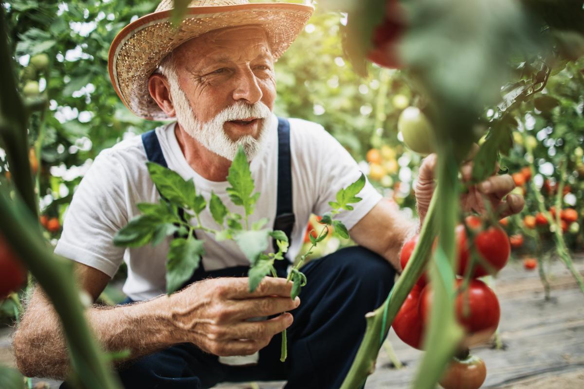 Benefits of Gardening for Seniors | Hobbies for Seniors