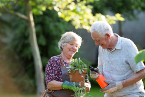 senior couple gardening after learning how austins senior centers help build strong social connections